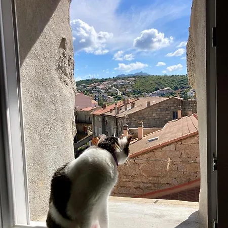T3 Avec Vue Sur La Mer Notre Chez-nous